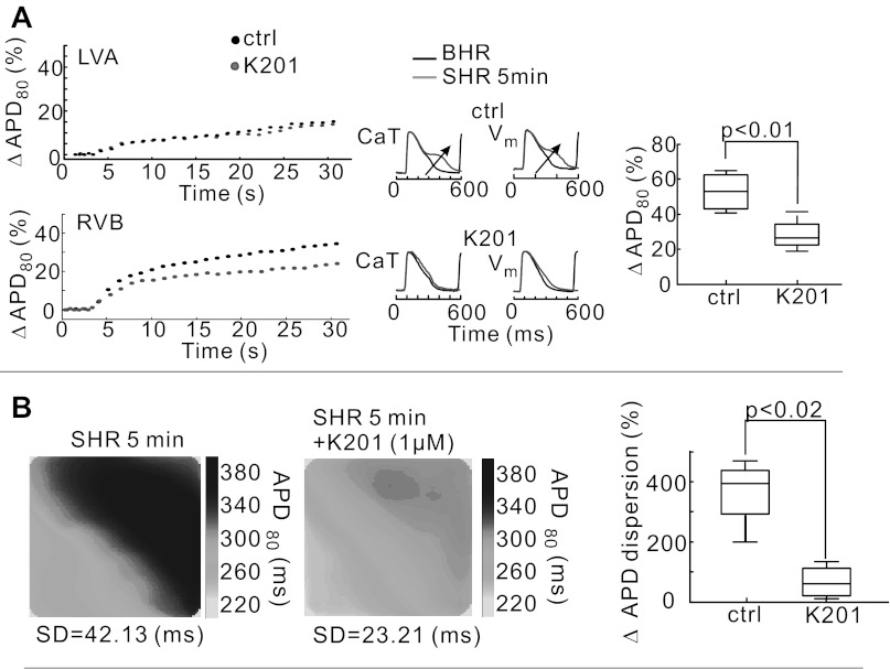 Fig. 7.