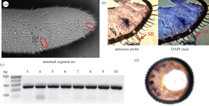 Figure 2.