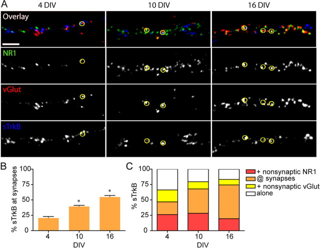 Figure 6.