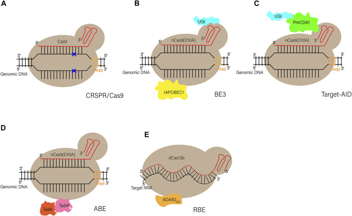 FIGURE 2