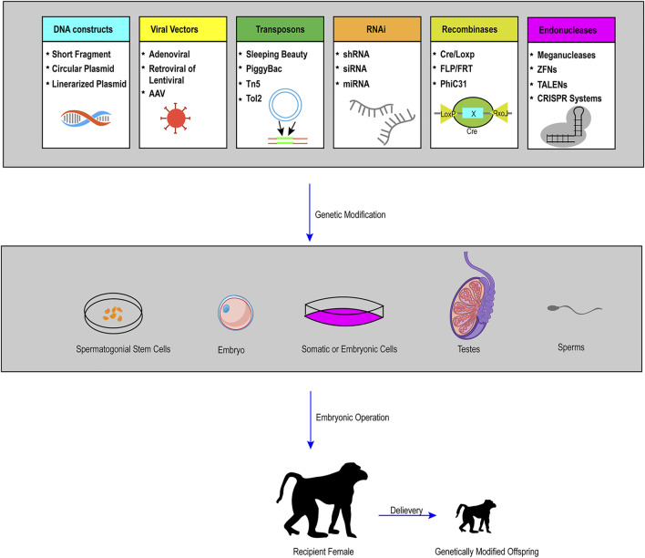 FIGURE 3