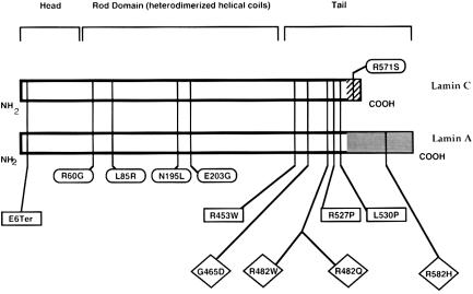 Figure  3