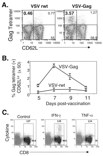 FIG. 4.