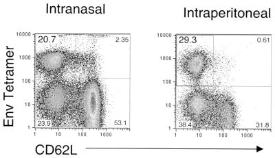 FIG. 8.