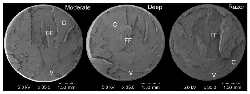 Fig. 9