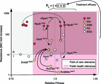 Fig. 3