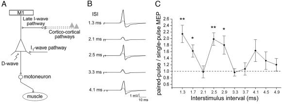 Fig. 1.