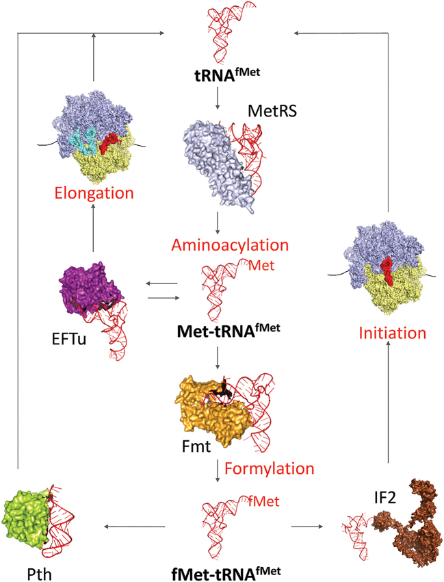 Figure 4.