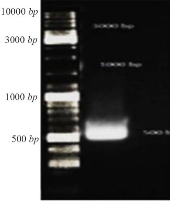 Figure 1.