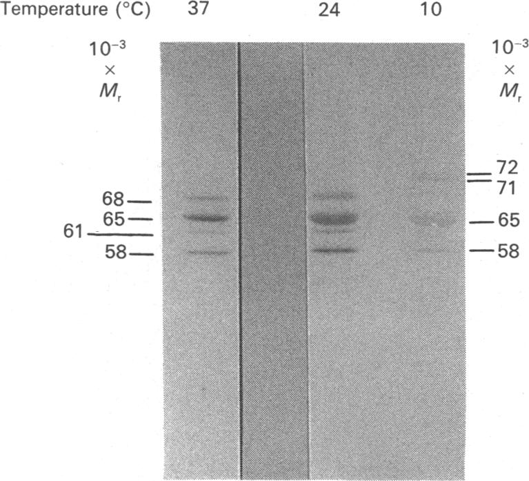 Fig. 9.