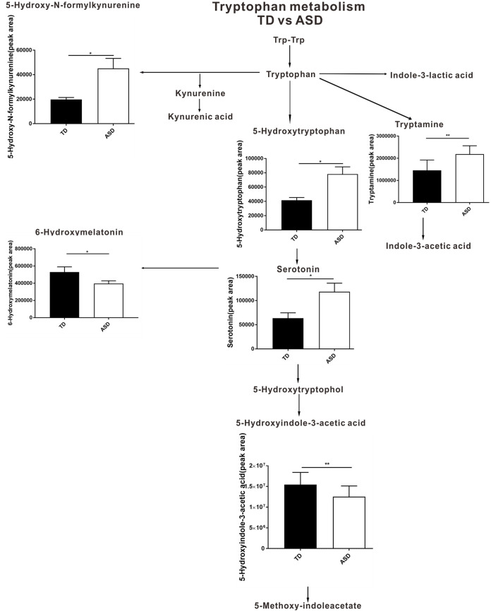 FIG 5