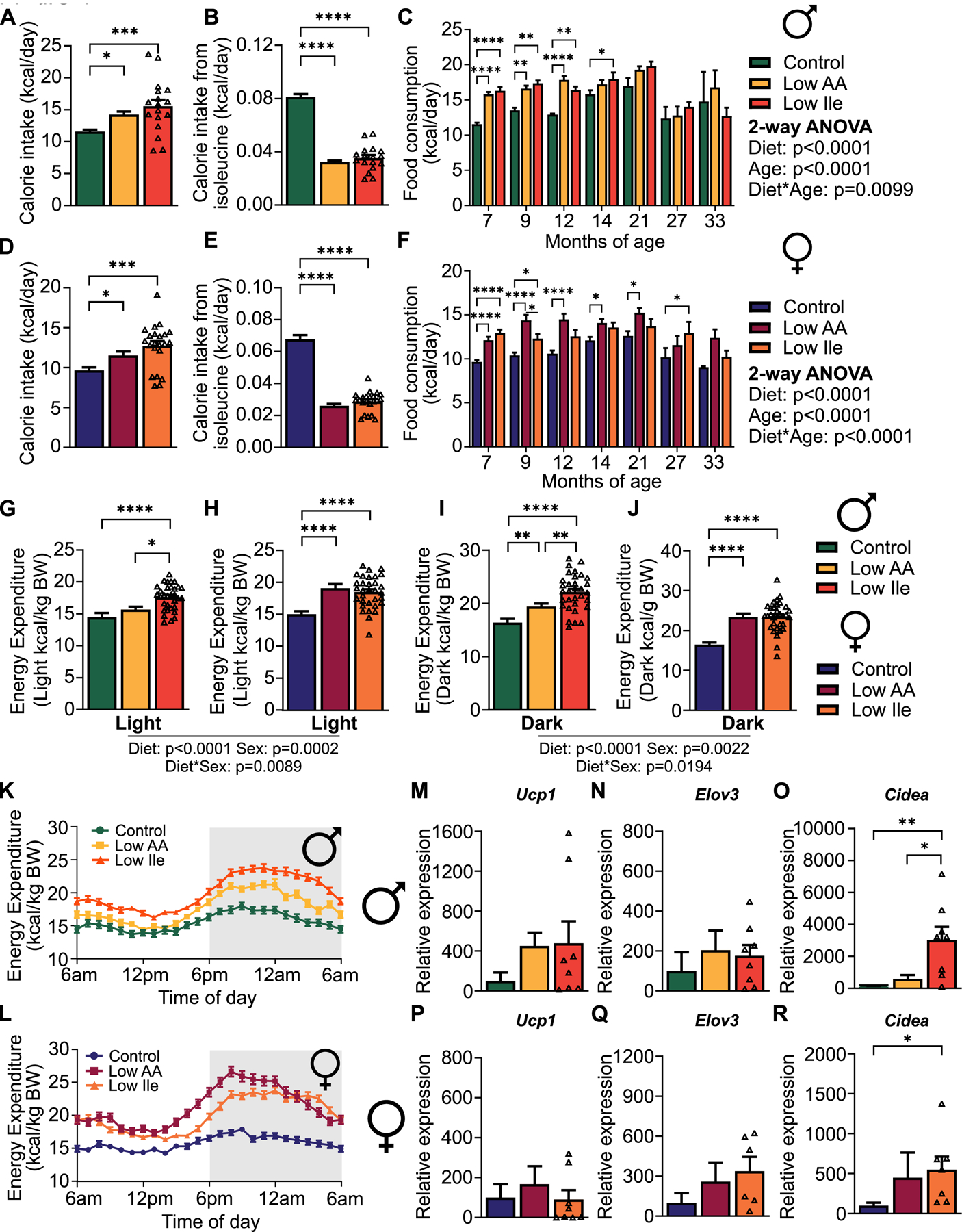 Figure 4: