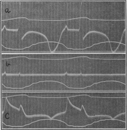 Fig. 21