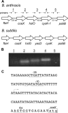 FIG. 1.