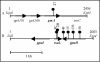 FIG. 1.