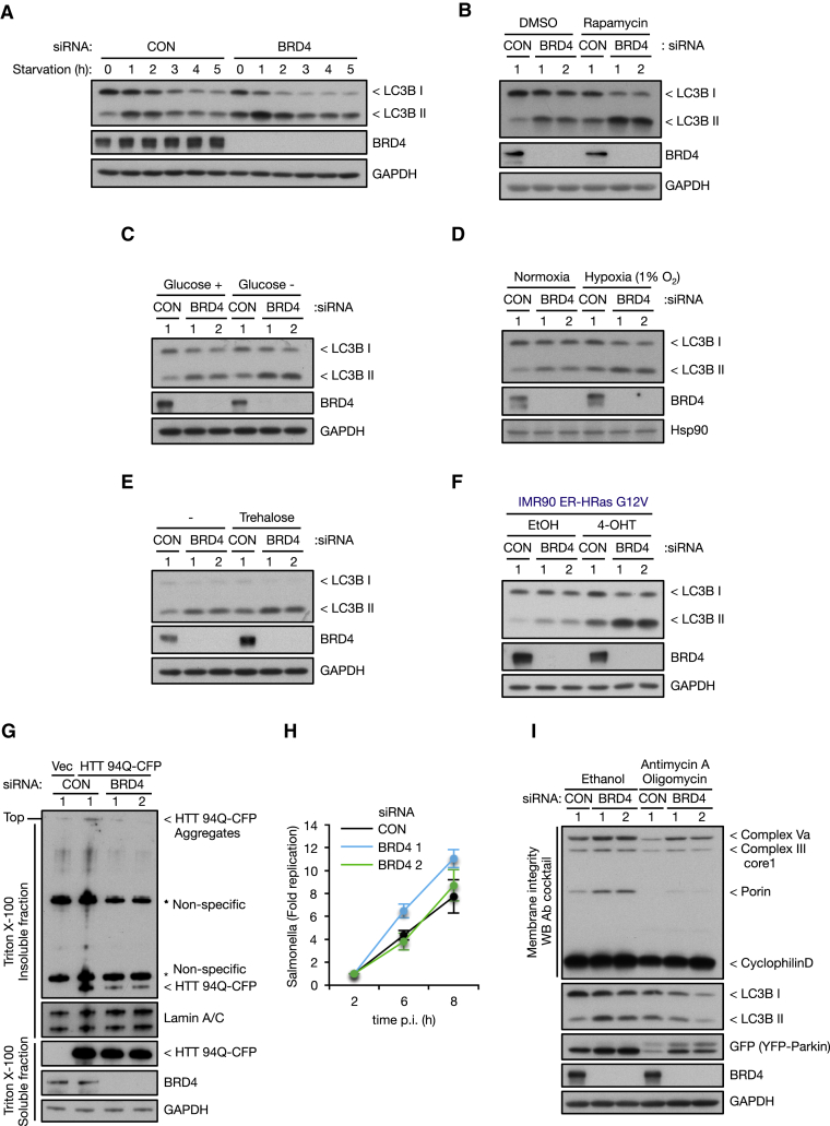 Figure 6