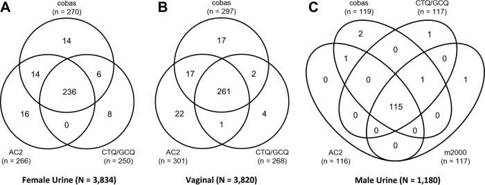 FIG 2