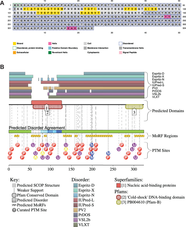 Figure 3—figure supplement 1.