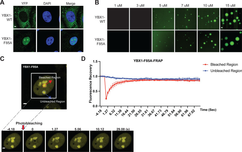 Figure 3—figure supplement 3.