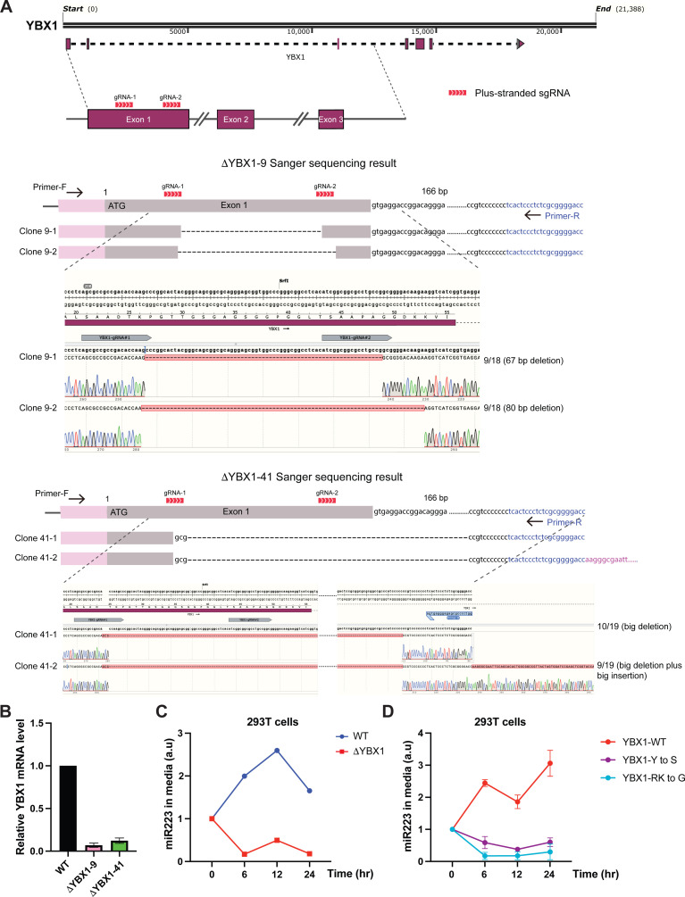 Figure 5—figure supplement 1.