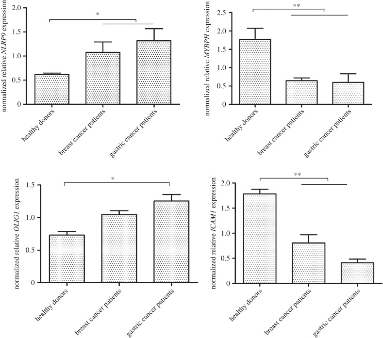 Figure 3.