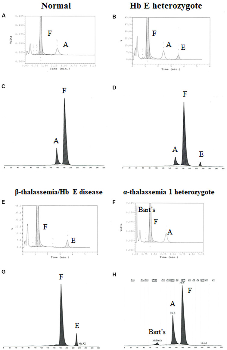 FIGURE 2