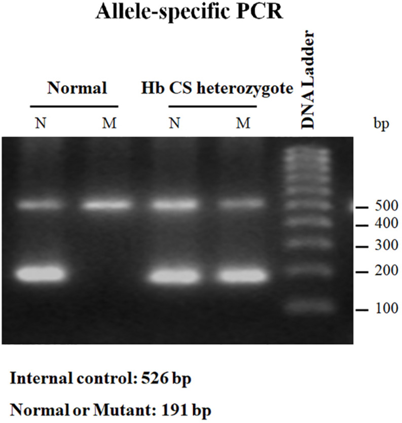 FIGURE 4