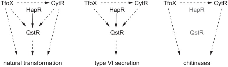 Fig 5