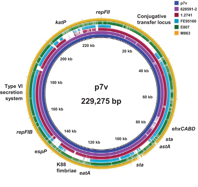 FIG 3