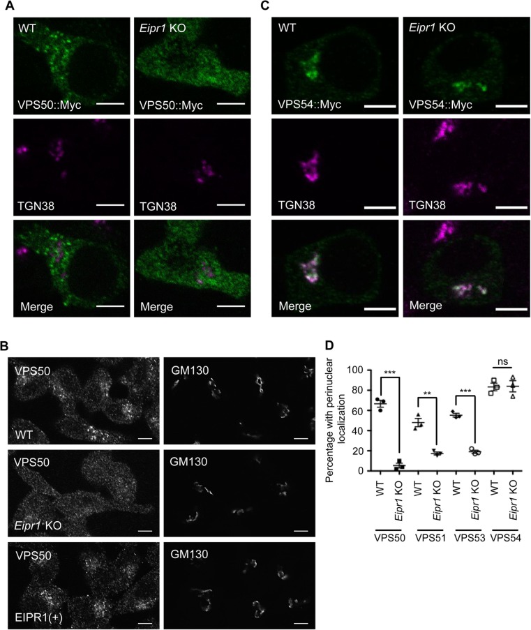 FIGURE 6: