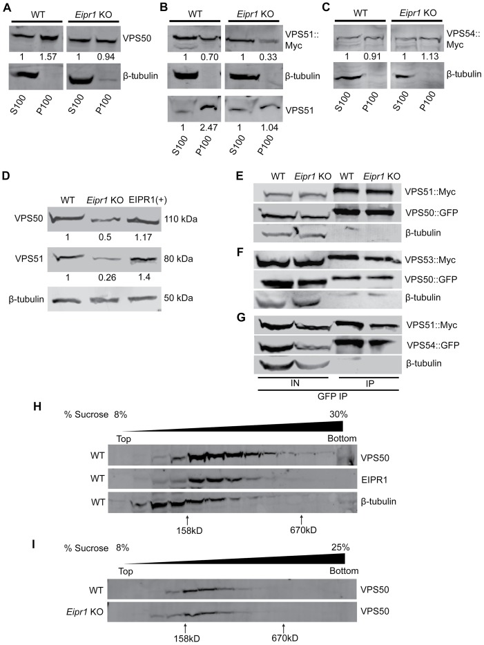 FIGURE 7: