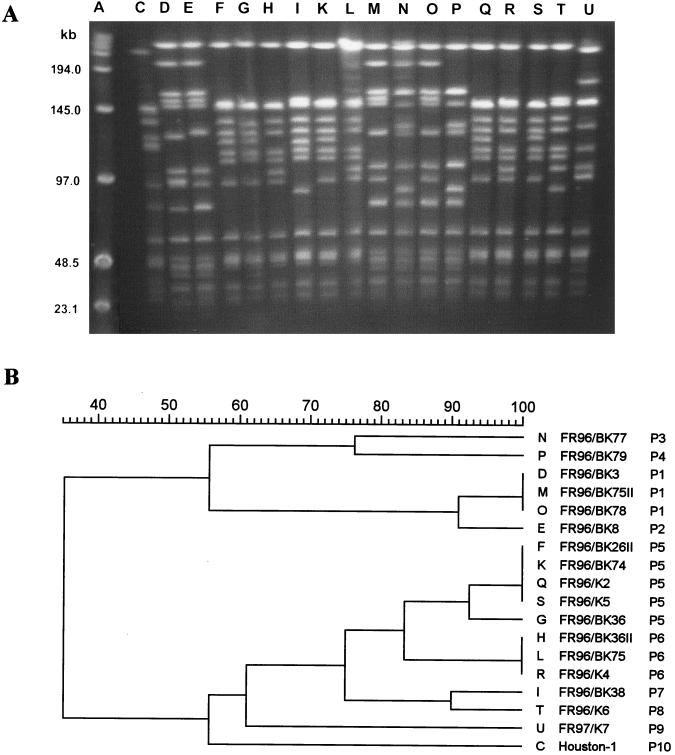 FIG. 1