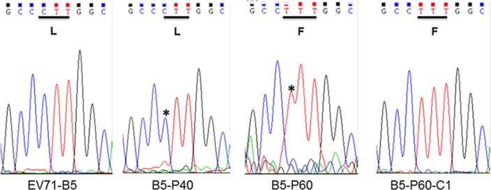 FIG 2
