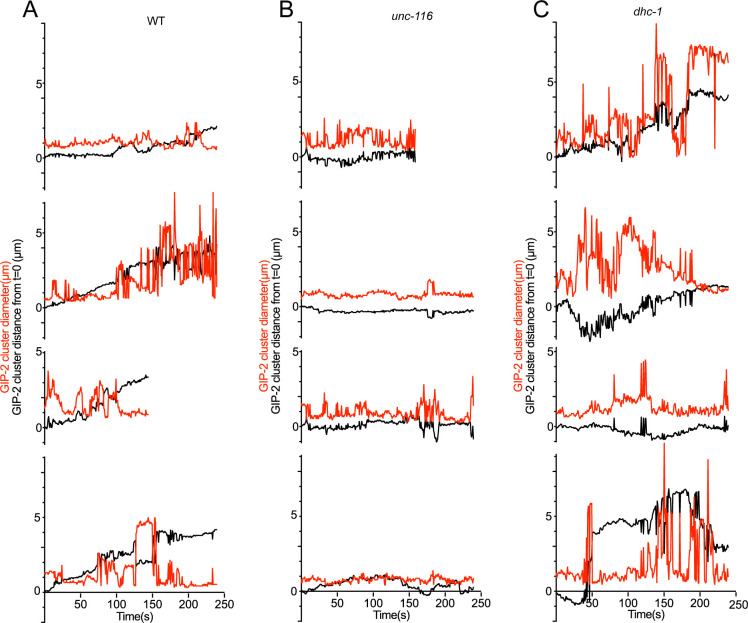 Figure 4—figure supplement 2.