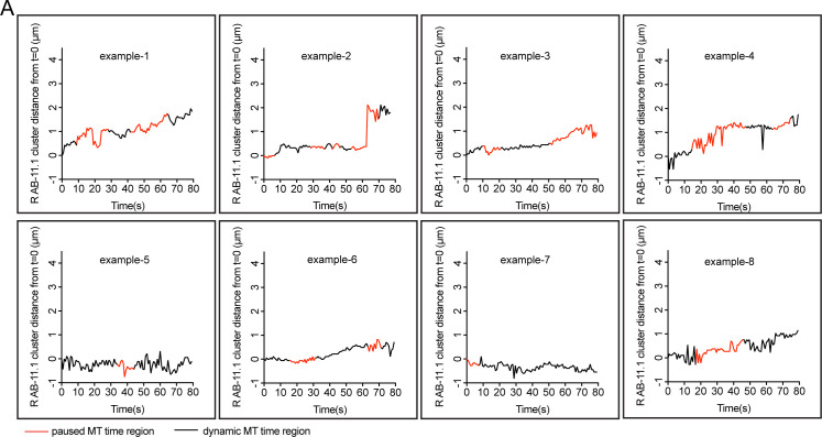 Figure 5—figure supplement 1.