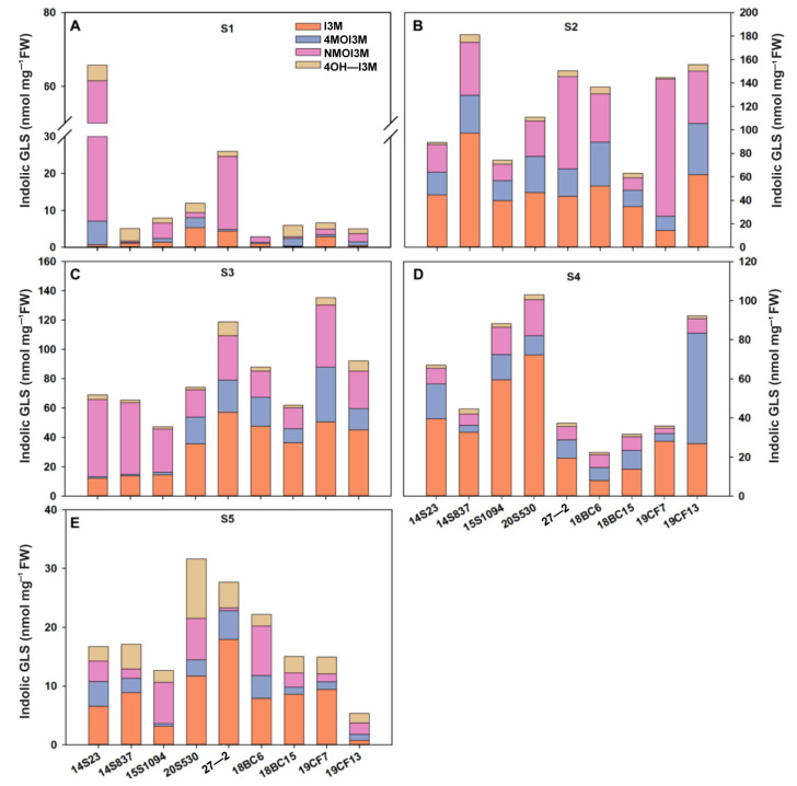 Figure 4