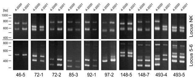 FIG. 2.