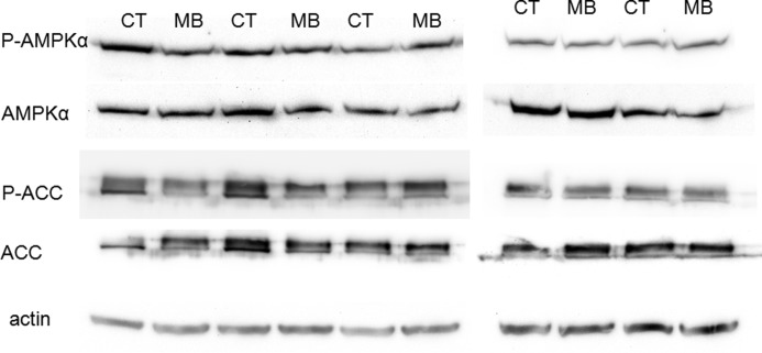 FIGURE 10.