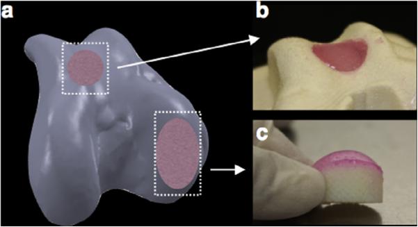 Fig. 5