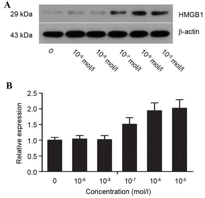 Figure 4.