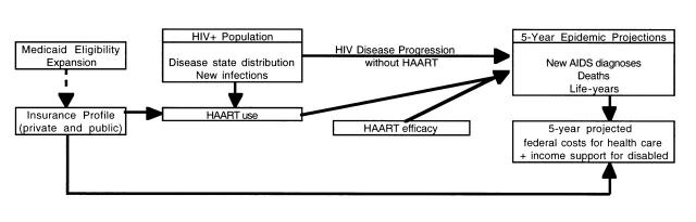 FIGURE 1—