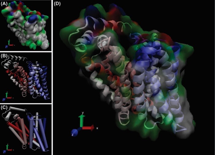 Fig. 4