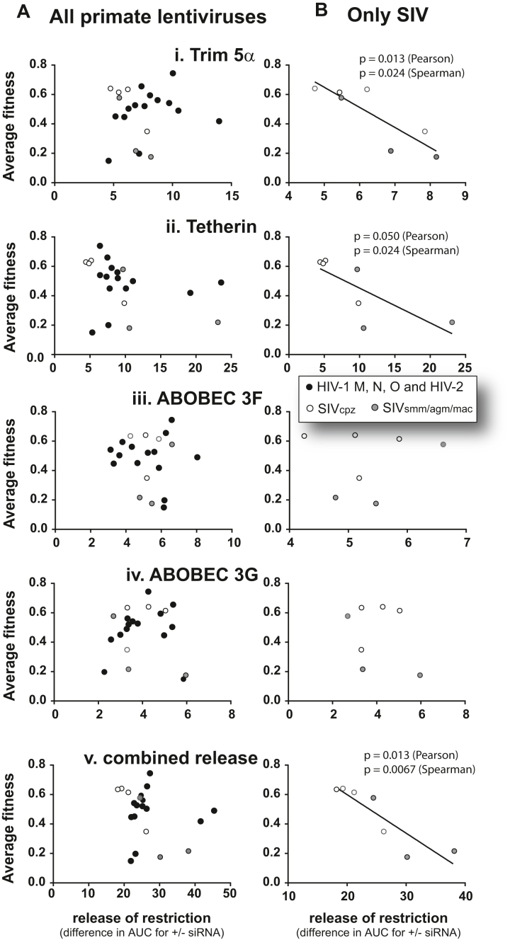 Fig. 6