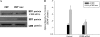 Fig. 10.