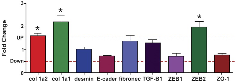 Figure 10