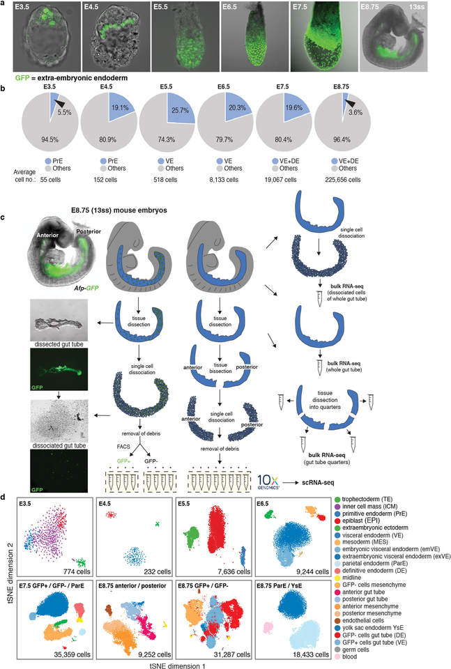 Extended Data Figure 1: