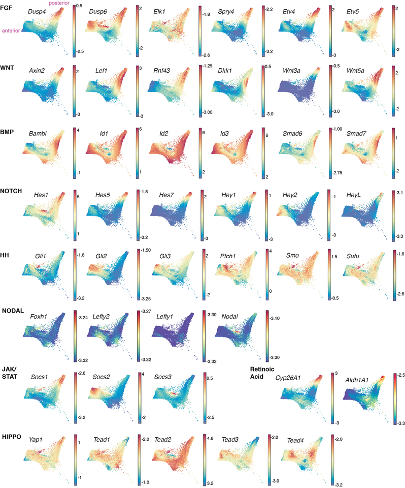 Extended Data Figure 11: