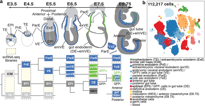 Figure 1: