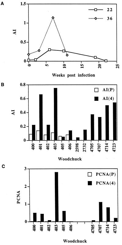 FIG. 7