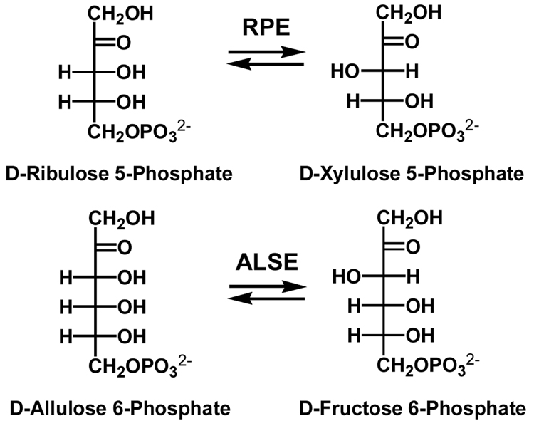 Scheme I